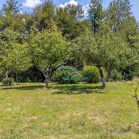 Pet Friendly In Plesce Osilnica