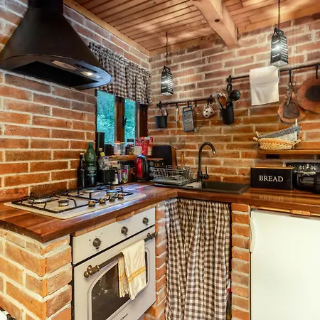 Pet Friendly In Plesce 別荘