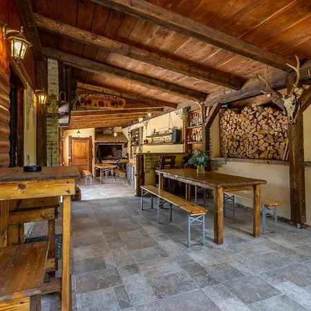 Pet Friendly In Plesce Osilnica