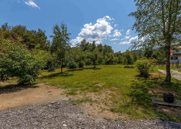 Pet Friendly In Plesce *